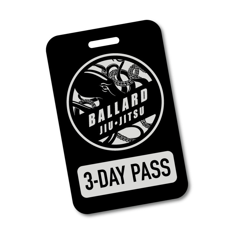 3-day visitors pass